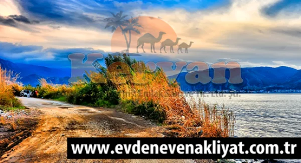 Muğla Evden Eve Nakliyat