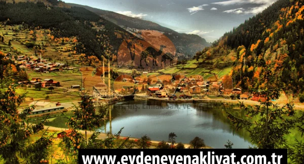 Trabzon Evden Eve Nakliyat
